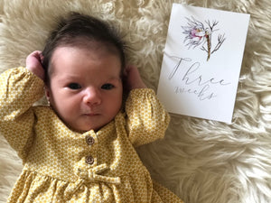 Floral Milestone cards