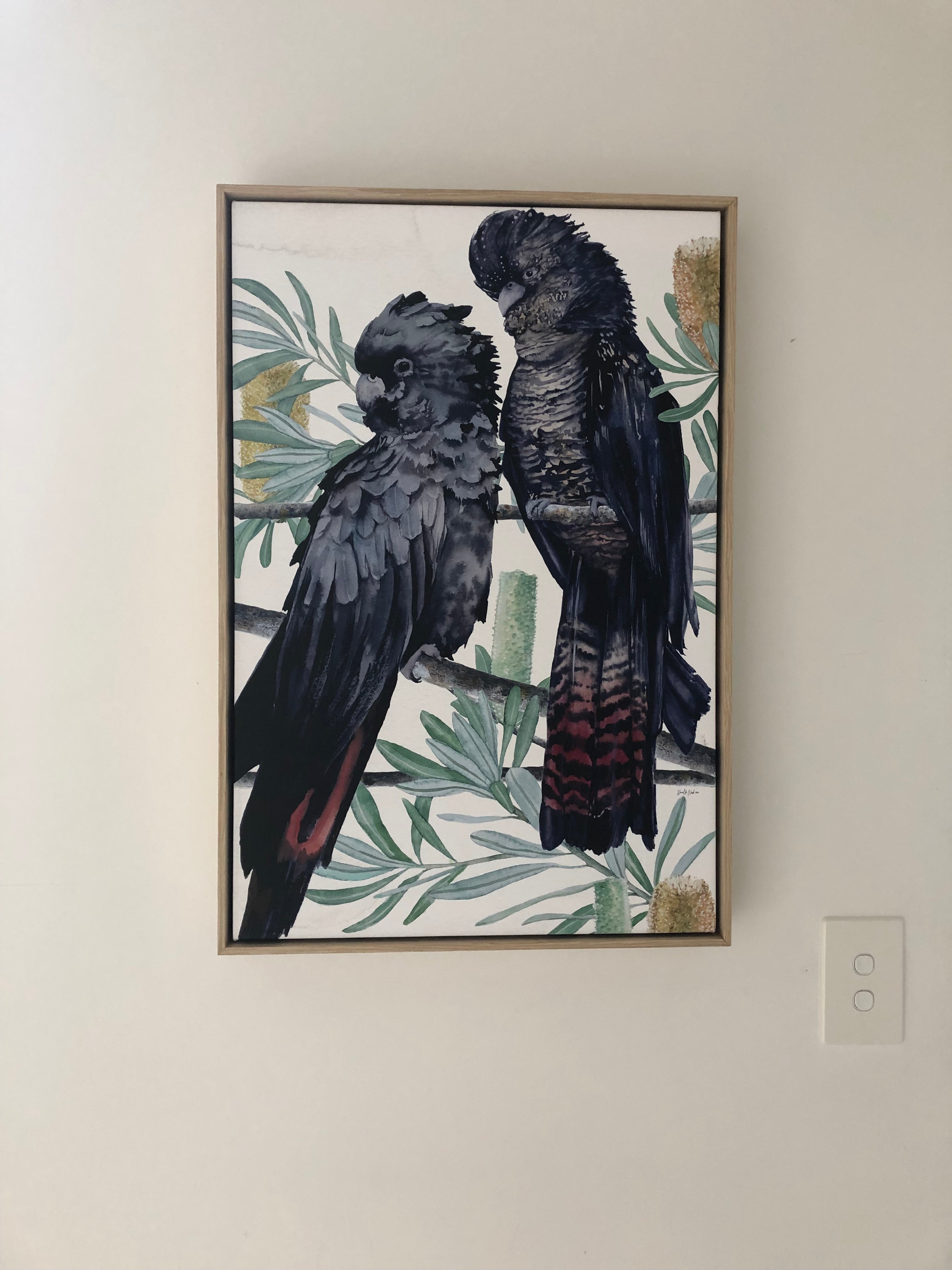 Red Tailed Resilience (2020)