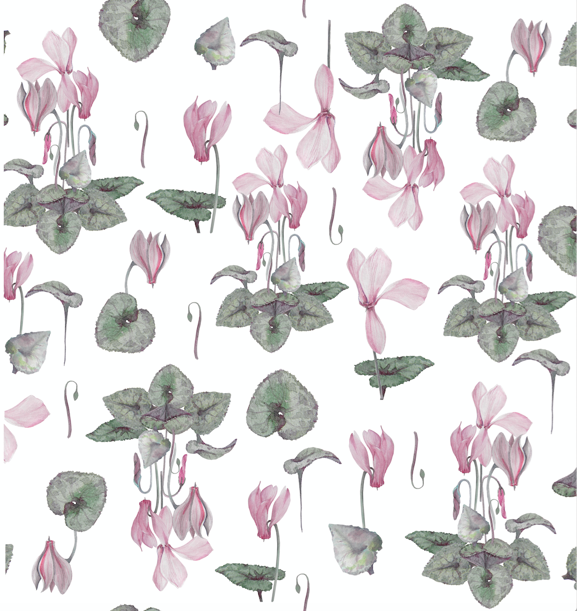 For Beirut - Cyclamen