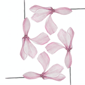 For Beirut - Cyclamen