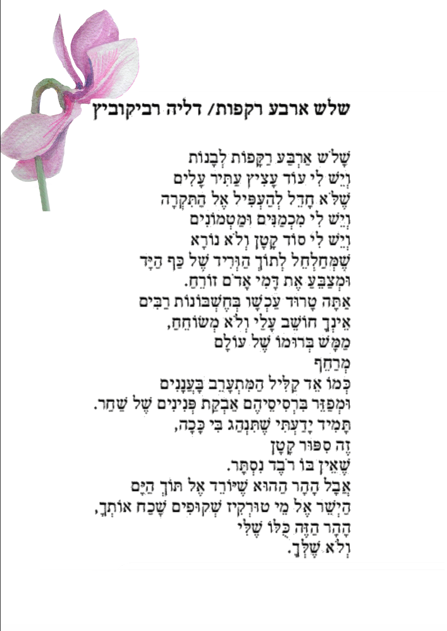 For Beirut - Cyclamen