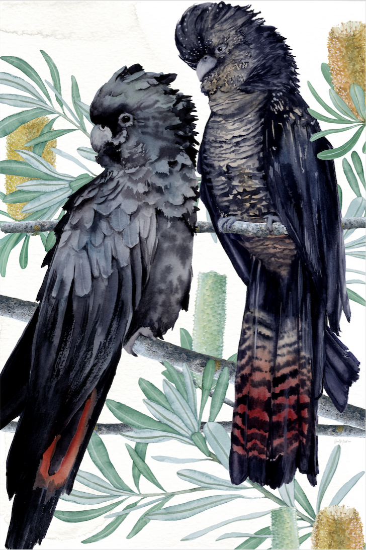 Red Tailed Resilience (2020)