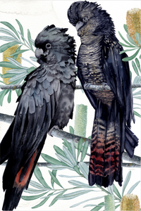 Red Tailed Resilience (2020)