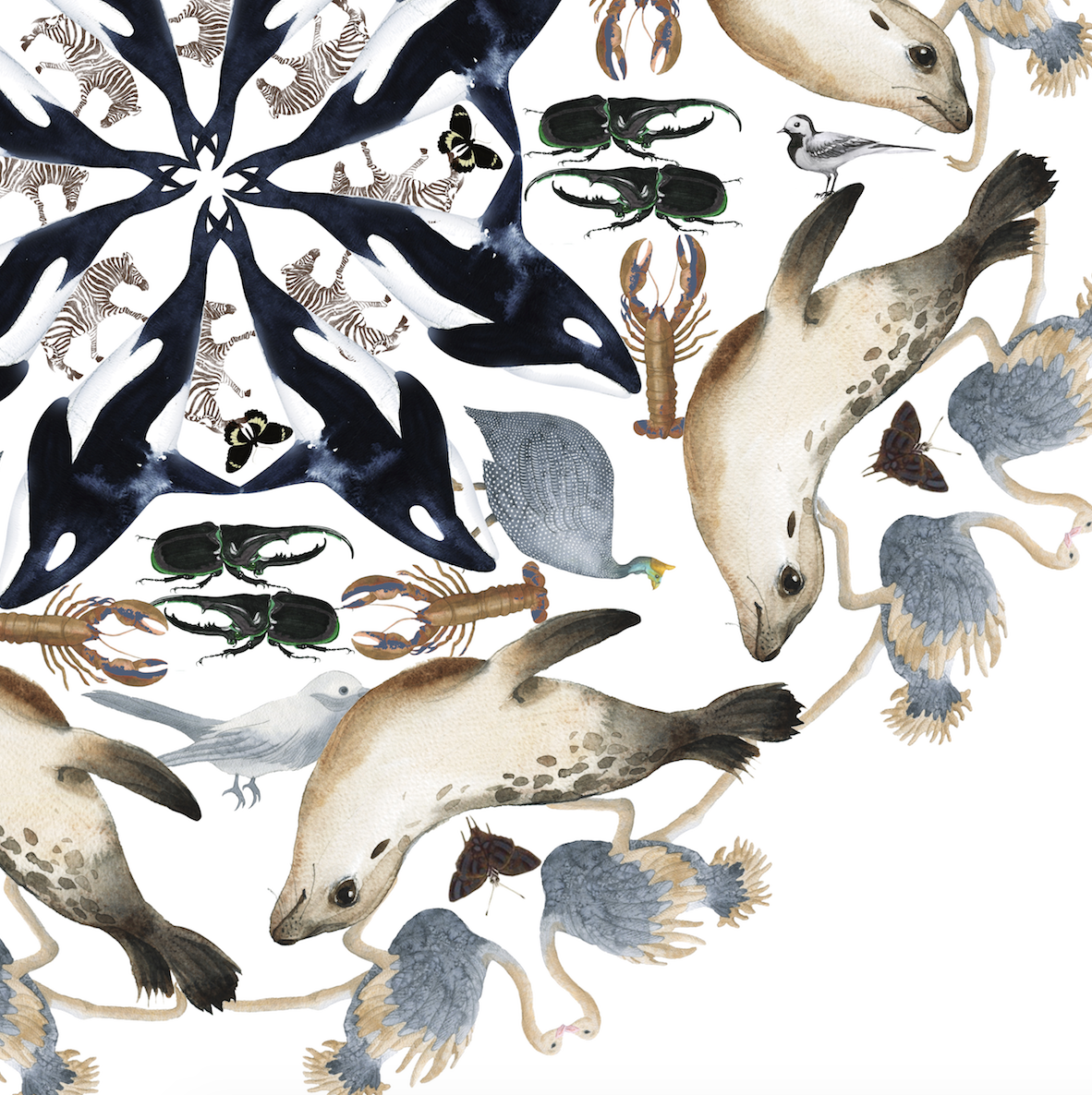 Fawn Mandala