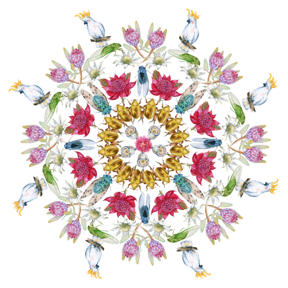 Summer Mandala 2018