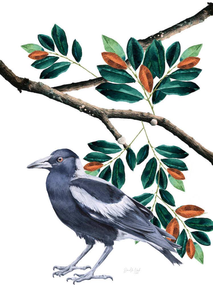 Magpie Love