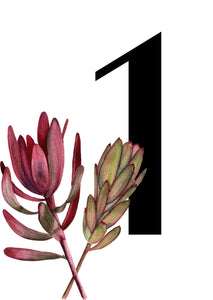 Table Numbers