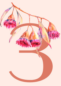 Table Numbers