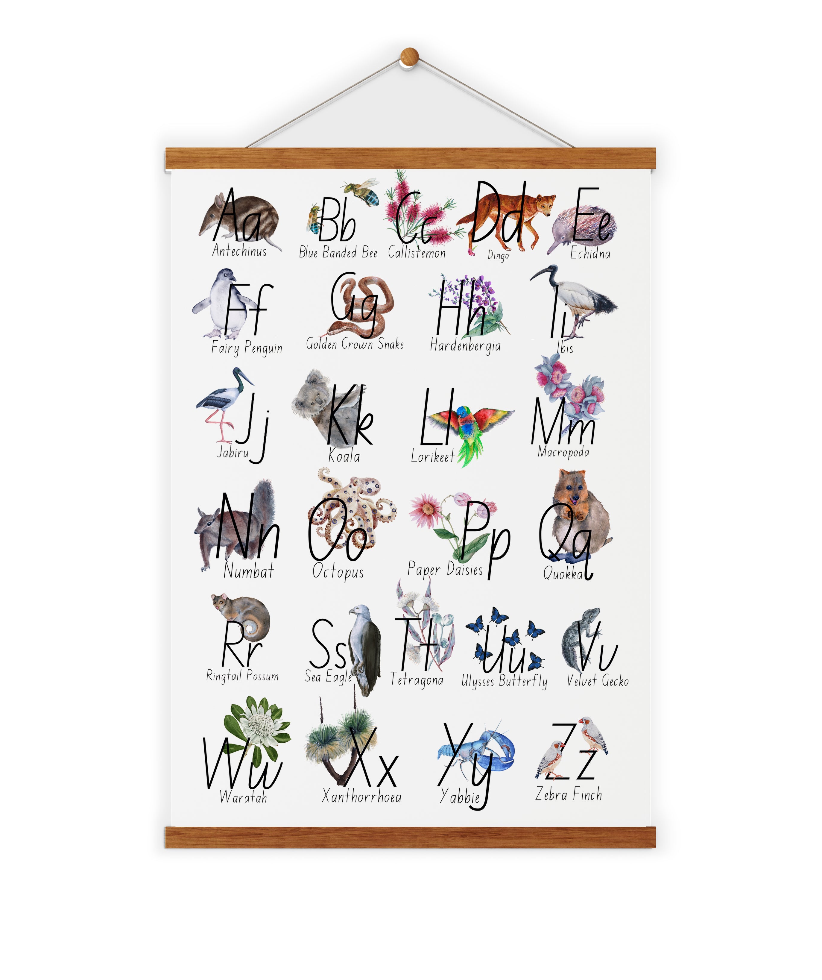 Australian Alphabet