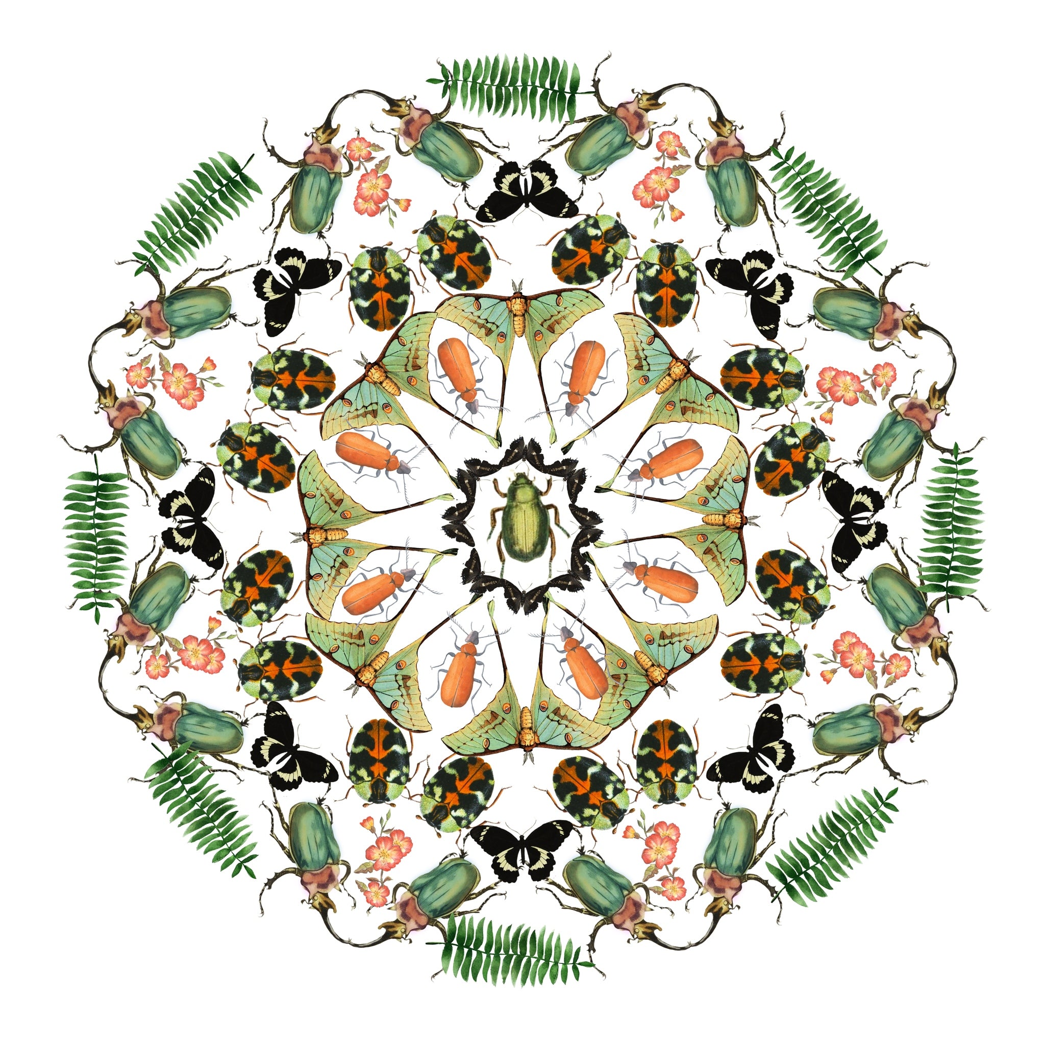 March of the Beetles Mandala