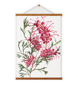 Grevillia