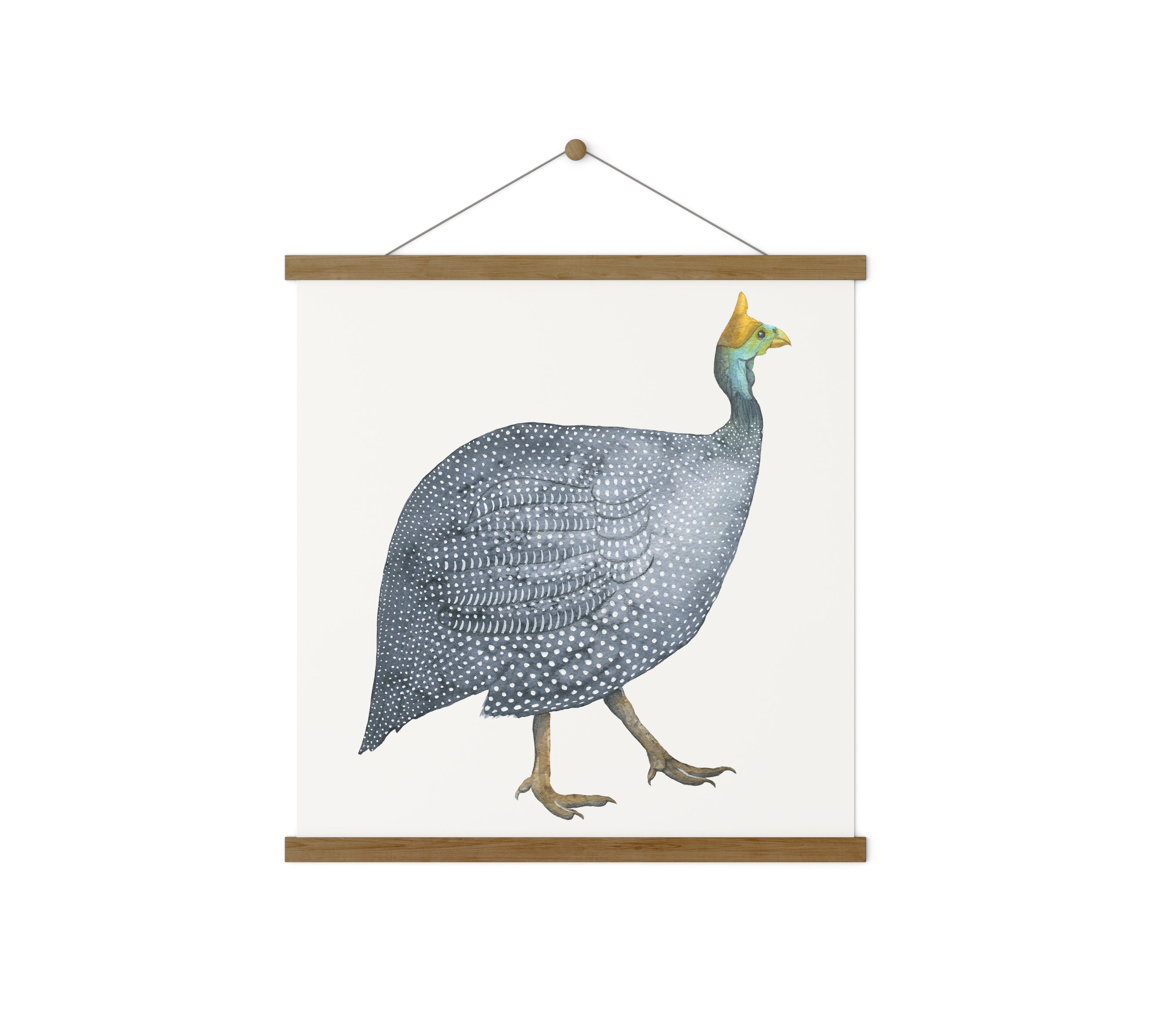 Guinea Fowl
