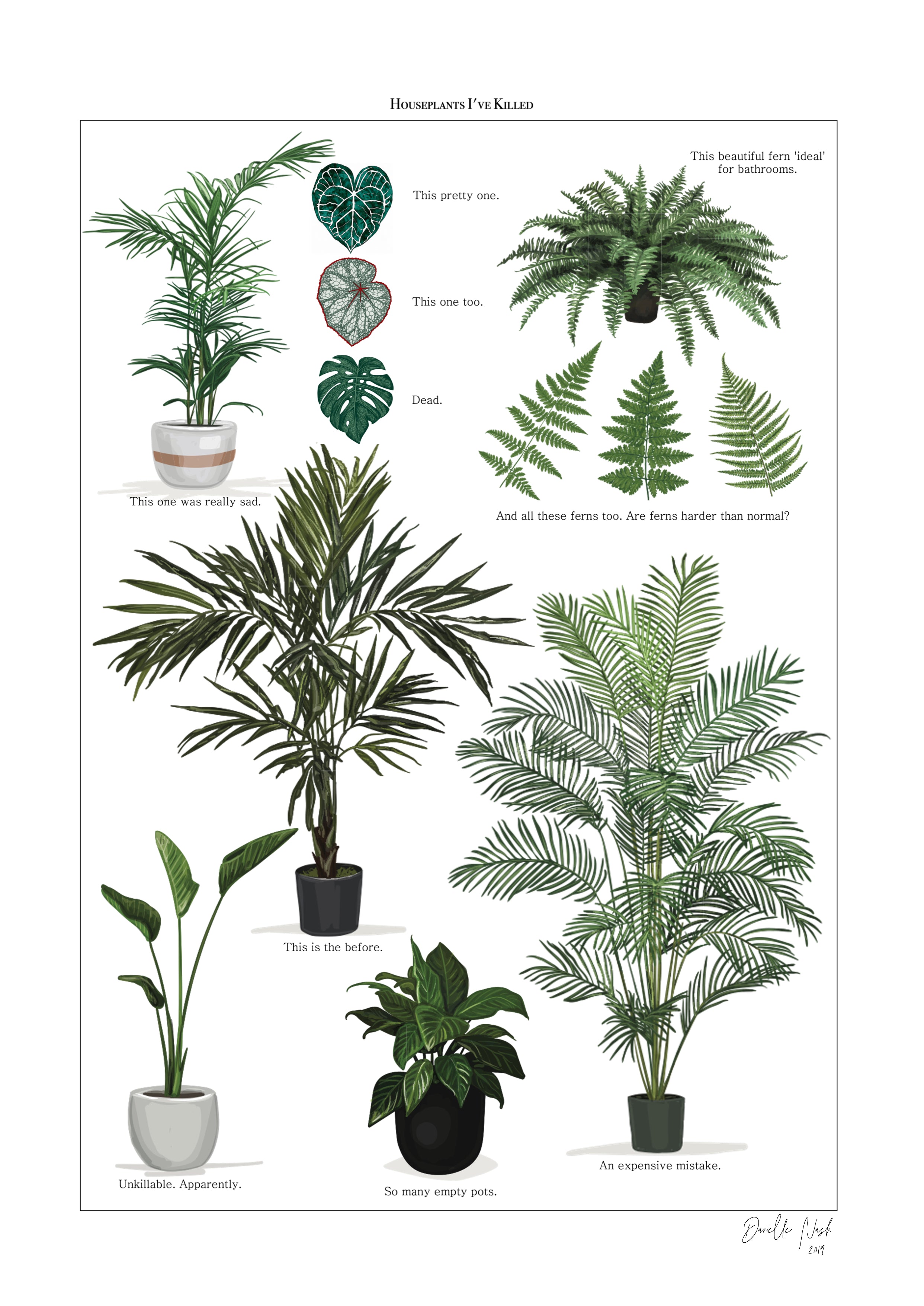 Houseplant Cemetery
