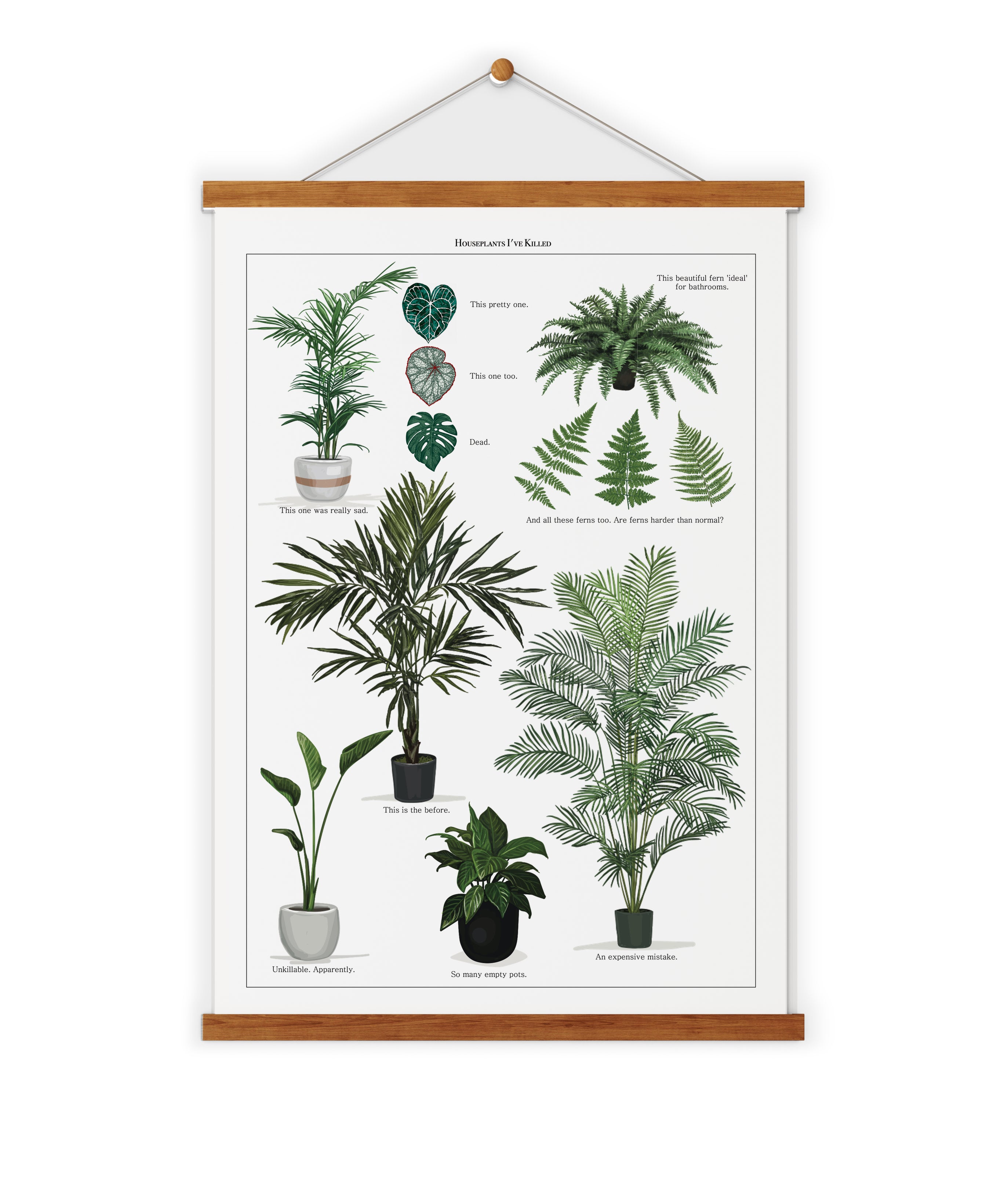 Houseplant Cemetery