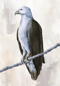 The Mighty Sea Eagle